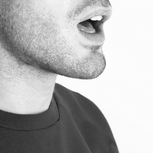 Expo Après Babel traduire