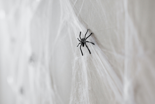 Halloween : des idées pour une décoration monstrueusement réussie : toile d'araignée