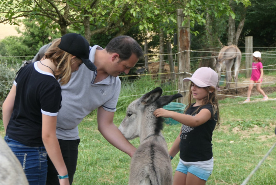 Asinerie d'Embazac : fillette caresse âne