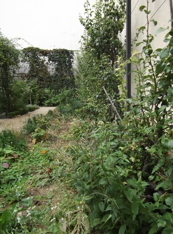 clos blancs manteaux