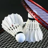 NEC Badminton