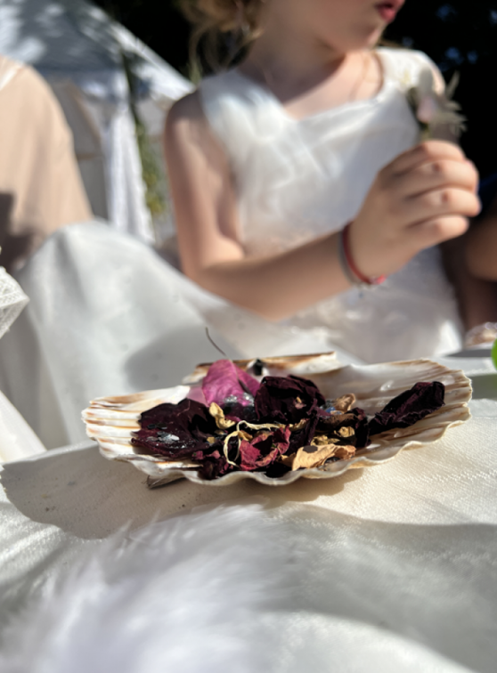 anniversaire Solaire 2