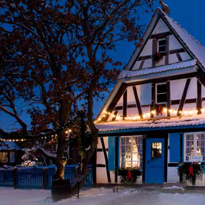 Noël à l'Ecomusée : jardins d'hiver et expos