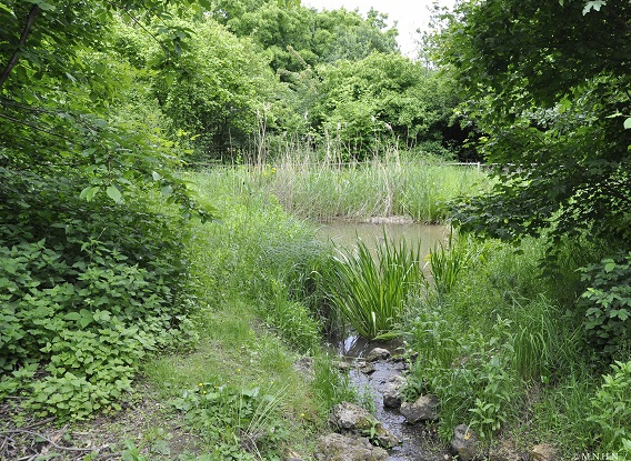 Fête de la nature Jardin des plantes ©RICHARD-MA_MNHN