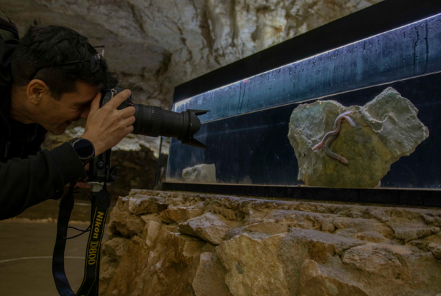 Grotte de Choranche : Sortie photo