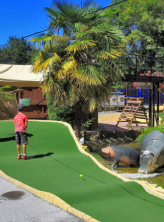 Jungle Golf : jouez au milieu des animaux