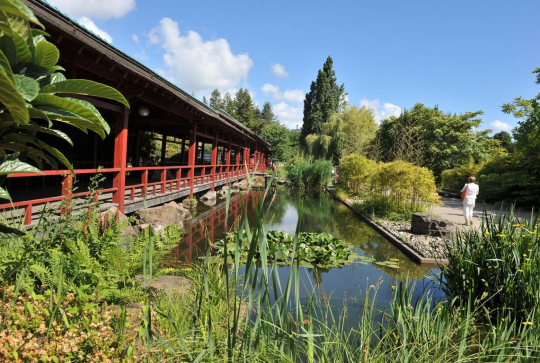 Jardin japonais - Île de Versailles, Nantes