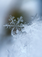 Patinoire de Noël 2019 à Marseille