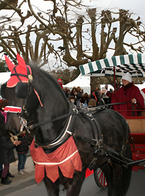 Père Noël de Gujan-Mestras