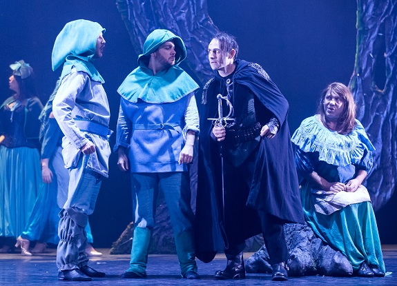 Raiponce et le prince aventurier - Guillaume Bauchède