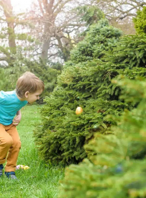Parc des Naudières - Chasse aux oeufs de Pâques 2025