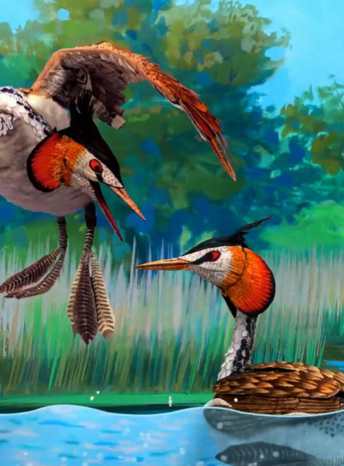 Bonjour le Monde ! - Héron