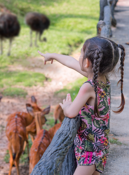 Top des sorties pour les amoureux des animaux près de Nice