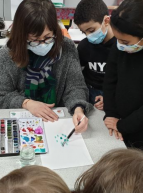 Expo et atelier enfants Bibliothèque de Lille : activités