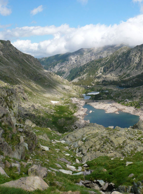 Expo Les esprits de la nature