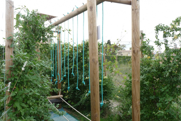 Teraventure : des épreuves sportives pour les enfants