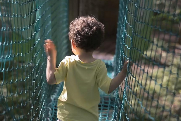 Parc Aventure Land : pont de singe