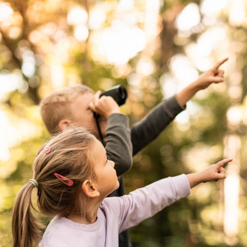 Les Nuits des Forêts : Deux enfants observent la forêt