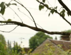 Concours Photo 2015 Ma grand mère et moi_thomas_sarah