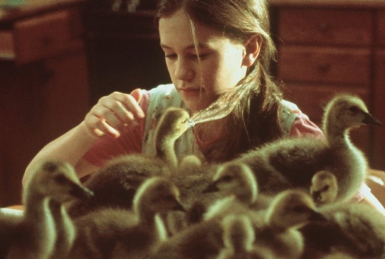 L'Envolée sauvage : Anna Paquin