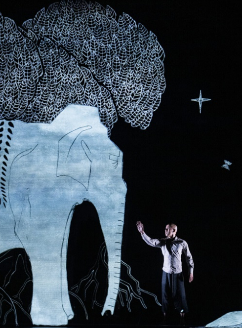 Chotto Desh : Un homme sur scène avec la projection d'un éléphant à côté de lui