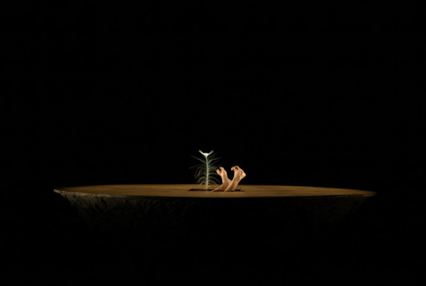 Le Plus petit Cirk du bord du bout du monde - pieds