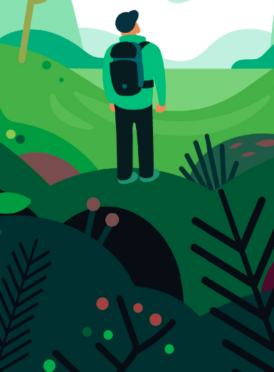 Nature & Vous dans les médiathèques de Lille