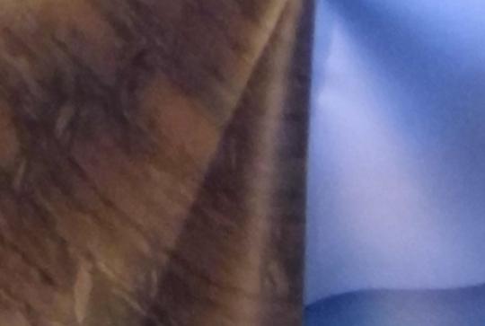 Photo famille Citizenkid - Salon mondial du Tourisme