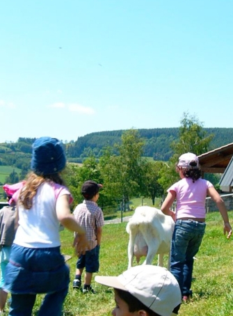Vacances à la Ferme des Loupiots