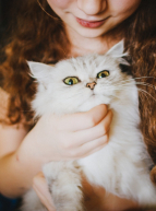 Salon des animaux de compagnie