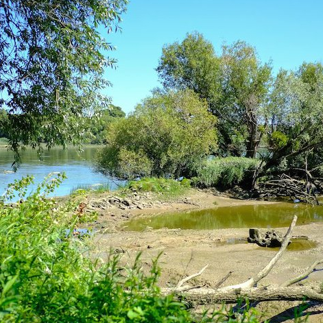 Parc du CRAPA : nature