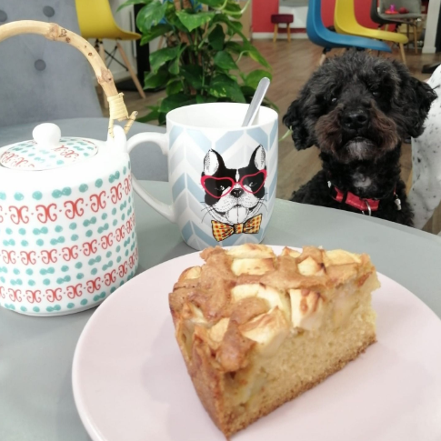 Tea Dog