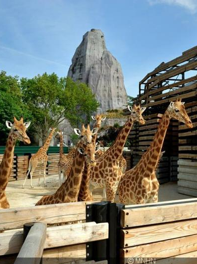 Parc Zoologique de Paris