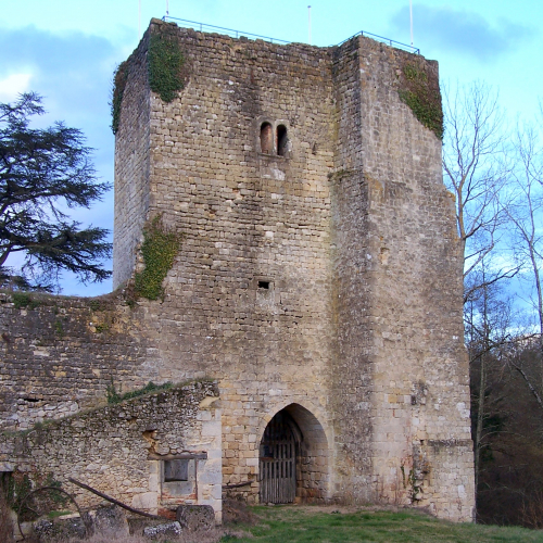 Castrum de Pommiers