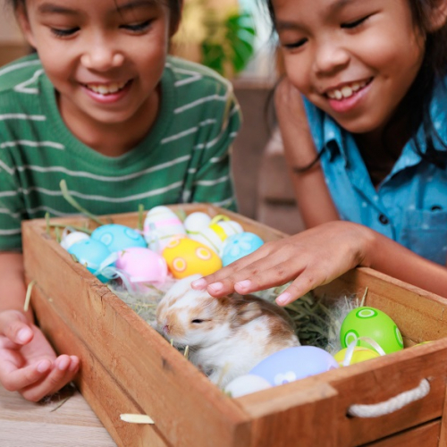 Et si on fêtait Pâques sans chocolat ?