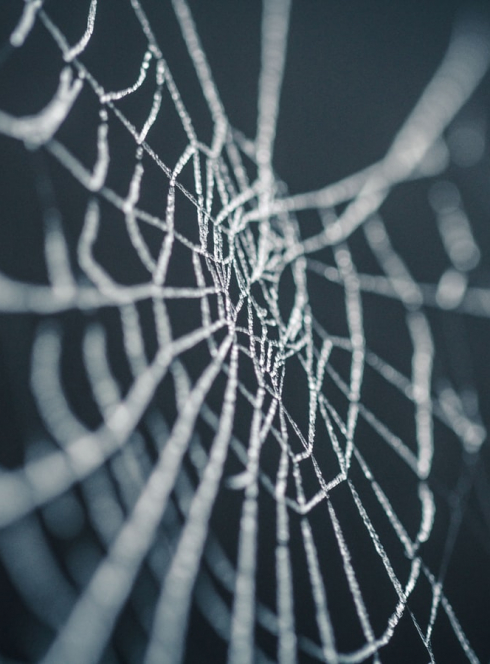 Ferme d'Auriol : Halloween 2019