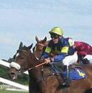 Hippodrome de Senonnes-Pouancé