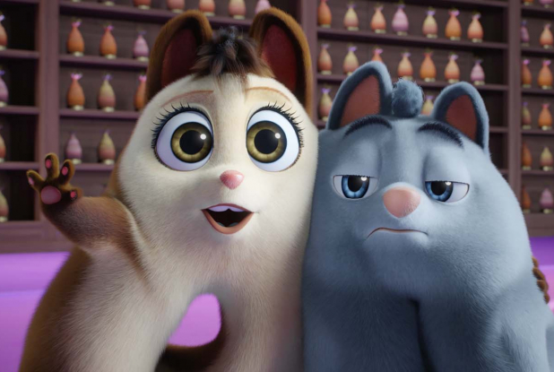 Les Bouchetrous : le plan