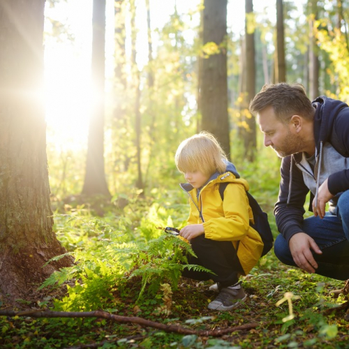 Un enfant et son père en forêt