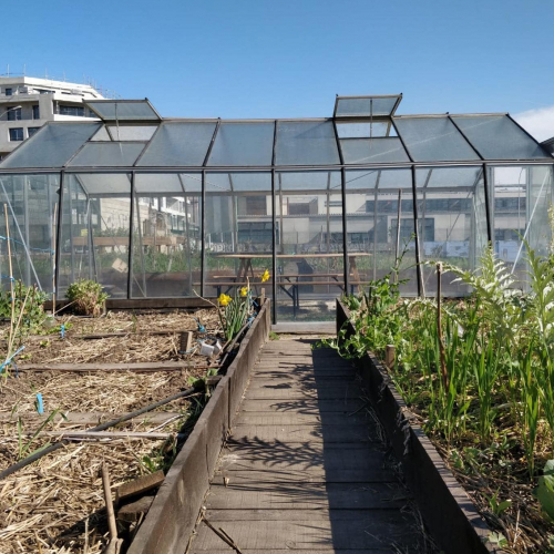 Terre Terre : ferme urbaine Aubervilliers