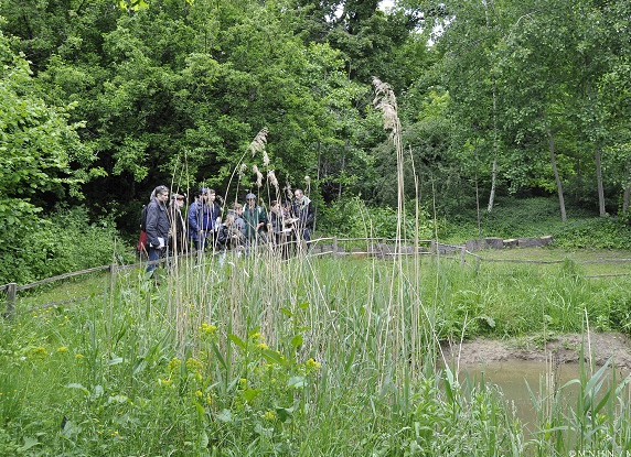Fête de la nature Jardin des plantes ©RICHARD-MA_MNHN