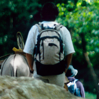 Journée internationale des forêts