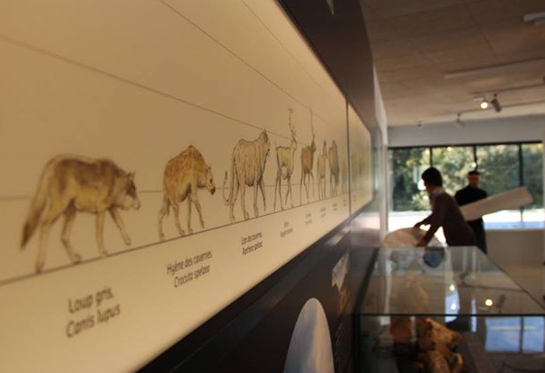 Musée Forum de L'aurignacien