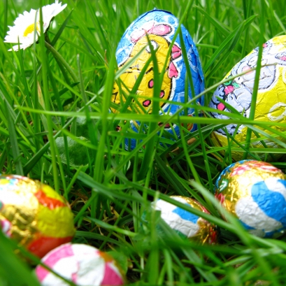 La chasse aux 1000 oeufs