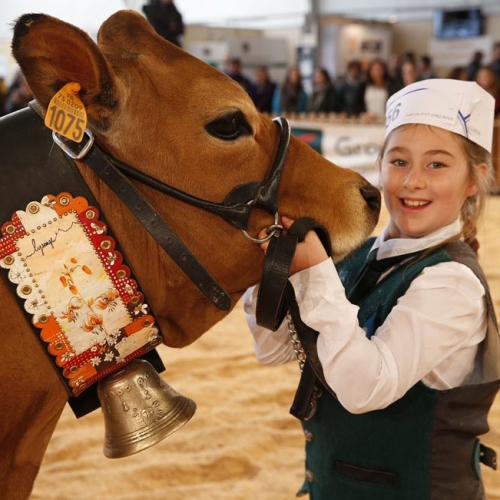 Sommet de l'élevage 2018