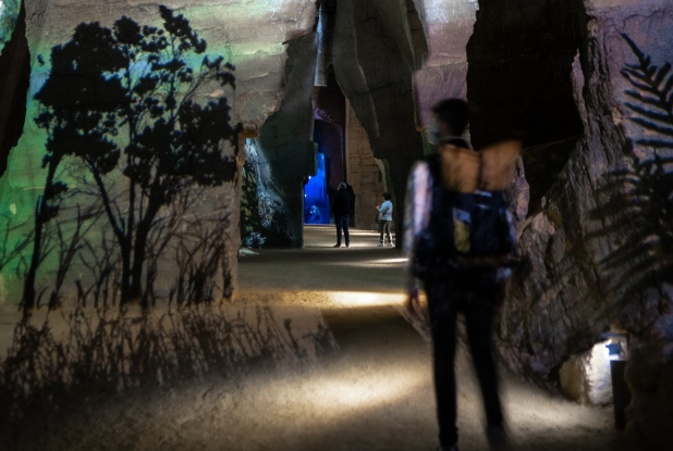 Le Mystère des Faluns : projections