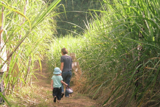 Chasse aux oeufs de Pâques