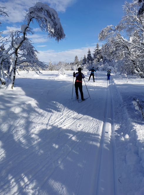 Alpes du Léman - ski de fond Les Moises