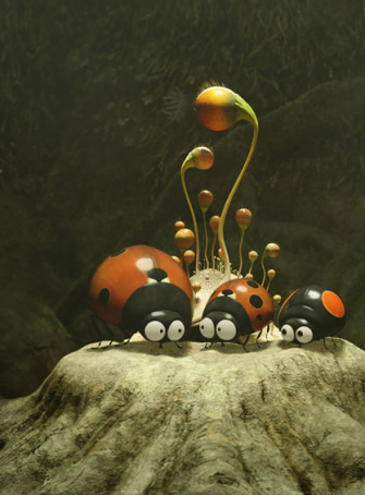 Minuscule 2 - Les Mandibules du bout du monde - Coccinelles et fleur