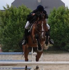 L'Etrier de Plerguer